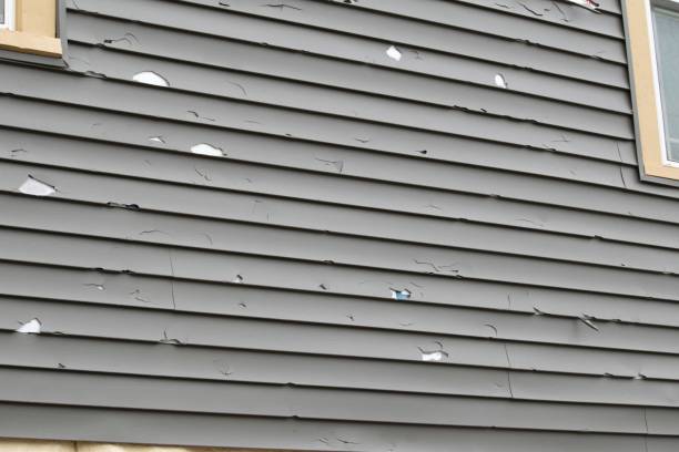 Professional Siding Installation & Repair in Goulds, FL